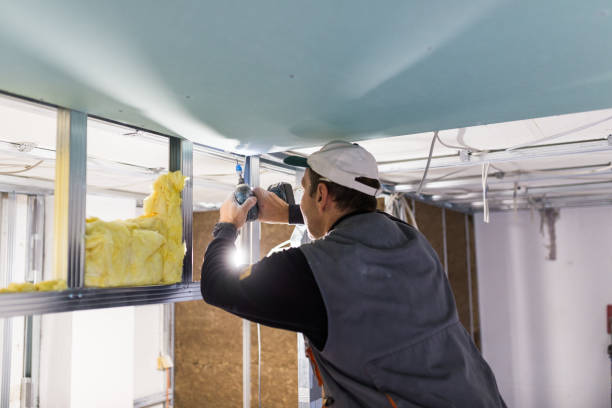 Best Cellulose Insulation in Conway, FL