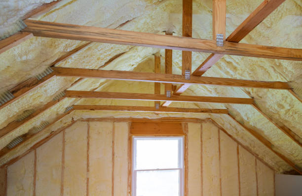 Types of Insulation We Offer in Conway, FL