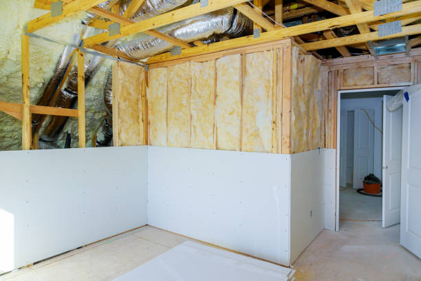 Best Cellulose Insulation in Conway, FL
