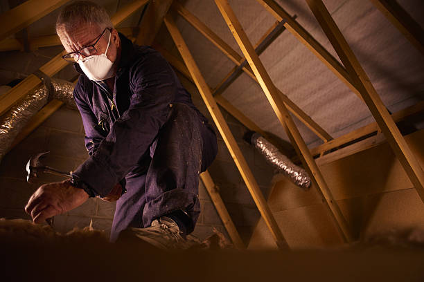 Best Eco-Friendly Insulation in Conway, FL