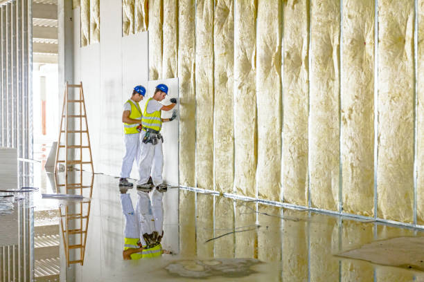 Best Geographic-Specific Insulation Services in Conway, FL